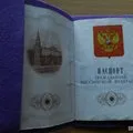 Cum sa faci o ceașcă de hârtie pentru răsaduri Cum sa faci o ceașcă de hârtie pentru răsaduri