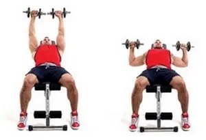 Cum de a elimina grasimea mușchiul pectoral Cum de a elimina grasimea mușchiul pectoral