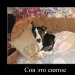 Cum să se numească cei mai buni prieteni Cum să se numească cei mai buni prieteni