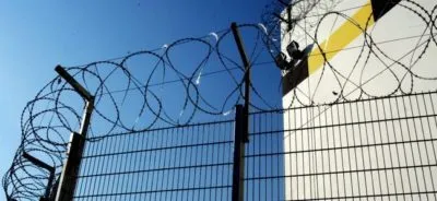 Cum să se comporte în zona Cum să se comporte în zona