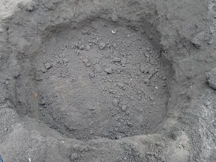 Cum să planteze tuia de la butași Cum să planteze tuia de la butași