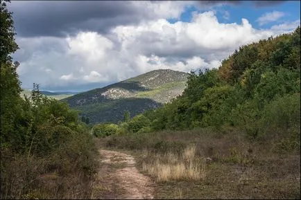Așa cum am fost băut ceai Așa cum am fost băut ceai