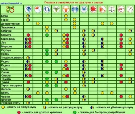 Când răsaduri pentru a planta tomate Când răsaduri pentru a planta tomate