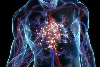 În analiza leucocitele sanguine a crescut