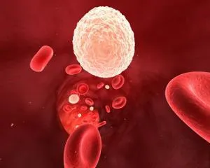 În analiza leucocitele sanguine a crescut În analiza leucocitele sanguine a crescut