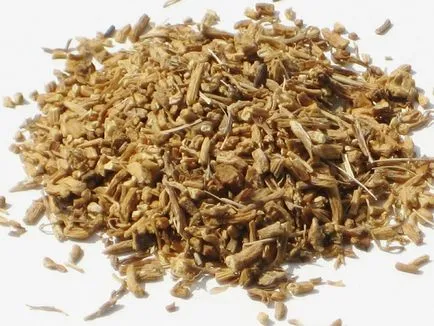 remedii populare pentru tratamentul epilepsiei