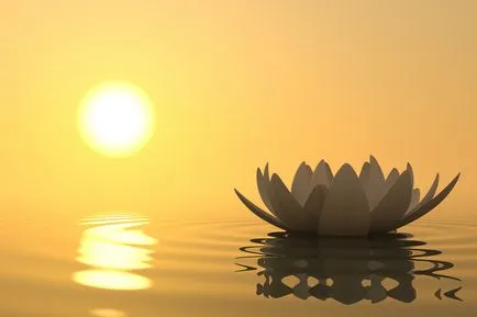 Ce este iubirea Osho