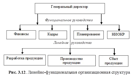 organizație comercială ca sistem
