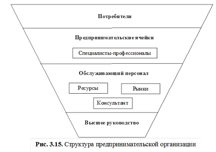 organizație comercială ca sistem