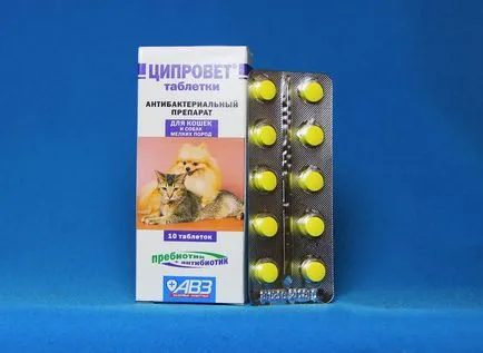 Antibiotice pentru câini Antibiotice pentru câini