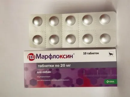 Antibiotice pentru câini Antibiotice pentru câini