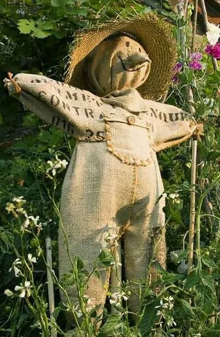 Cum sa faci o sperietoare de ciori