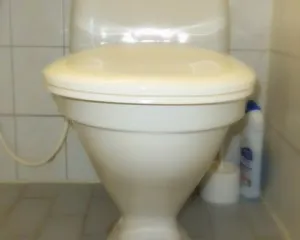 Apartamentul curat