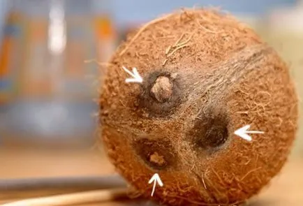Cum se curata o nuca de cocos Cum se curata o nuca de cocos