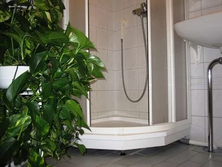 Apartamentul curat