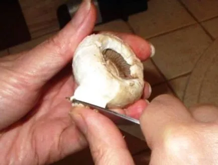 Cum se curata ciupercile Cum se curata ciupercile