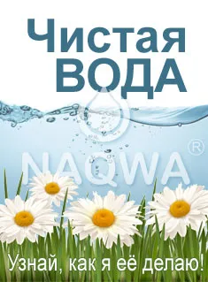Pool ca un pește