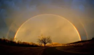 Cine sau ce va apărea în vara