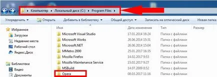 De ce funcționează doar Opera De ce funcționează doar Opera
