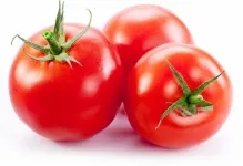 soiuri de tomate liang soiuri de tomate liang