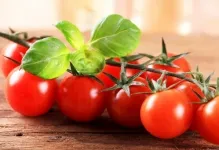 soiuri de tomate liang soiuri de tomate liang