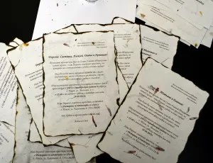 invitatie de nunta stil