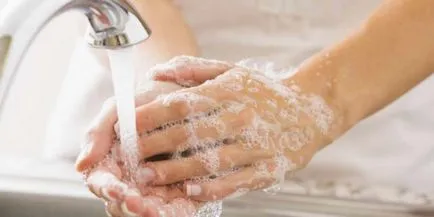 Prevenirea și tratamentul de viermi Prevenirea și tratamentul de viermi