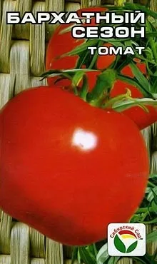 Când răsaduri pentru a planta tomate Când răsaduri pentru a planta tomate
