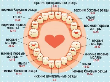 Ca primul dinte
