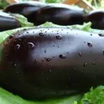 Cum sa faci o ceașcă de hârtie pentru răsaduri