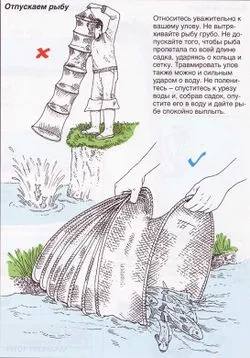 Rezervoarele de pește cu propriile lor mâini