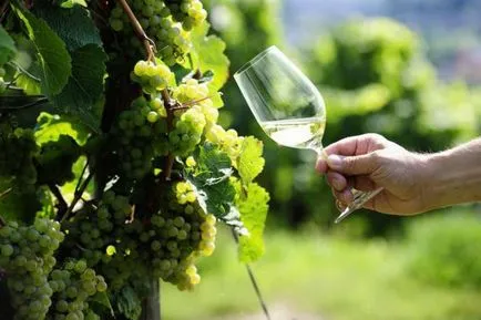 Ce este Riesling