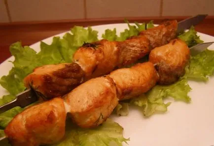 Cum se marineze frigarui de somon Cum se marineze frigarui de somon
