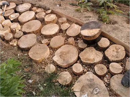 calea de grădină taie un copac calea de grădină taie un copac