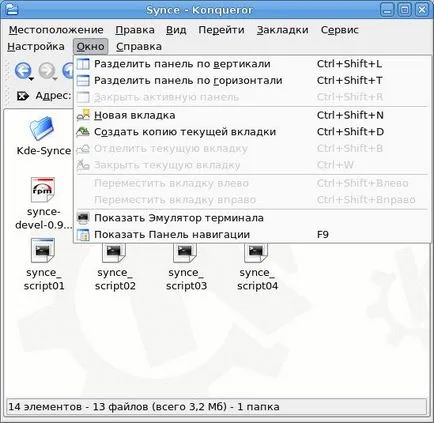 Cum de a lucra cu script-uri