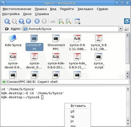 Cum de a lucra cu script-uri