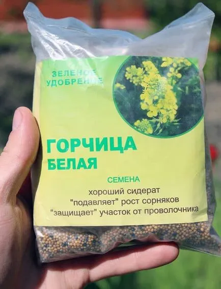 Cum să semene gunoi de grajd verde