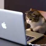Cum de a crea un câștig