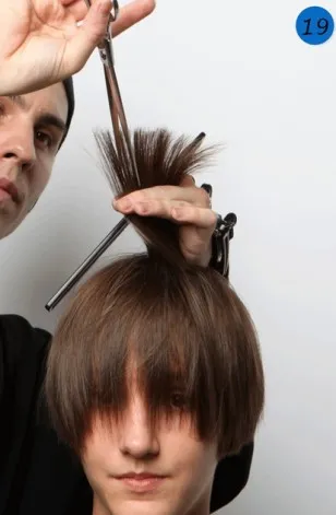 Ce este bob bob Ce este bob bob