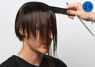 Ce este bob bob Ce este bob bob