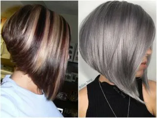 Ce este bob bob Ce este bob bob