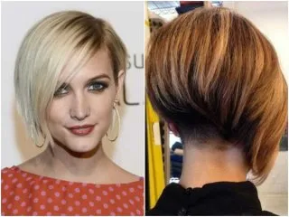 Ce este bob bob Ce este bob bob