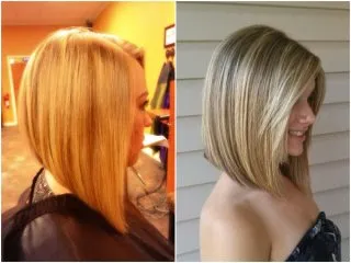 Ce este bob bob Ce este bob bob