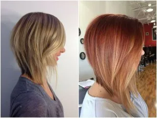 Ce este bob bob Ce este bob bob