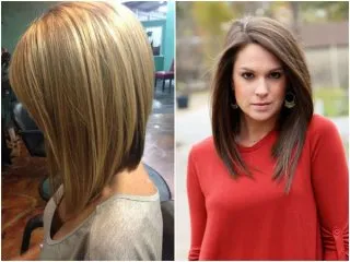 Ce este bob bob Ce este bob bob