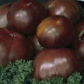soiuri de tomate liang