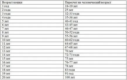 Vârsta pisicilor în termeni umani