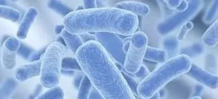 Ureaplasmosis cum să trateze