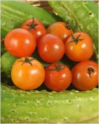 Că vegetarienii mănâncă