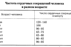 De a provoca creșterea frecvenței bătăilor inimii